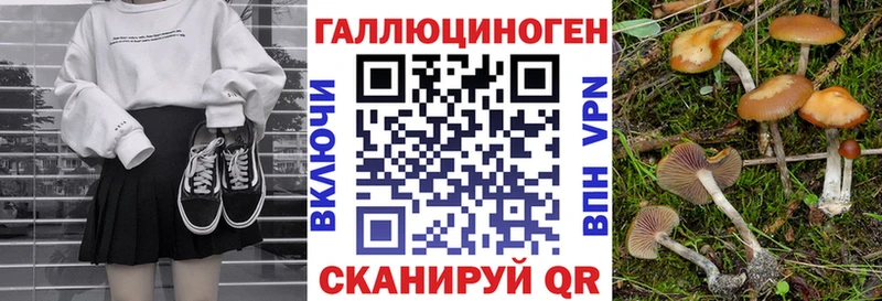 Галлюциногенные грибы Cubensis  Камызяк 